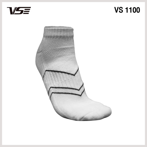 VS 1100 - view 2