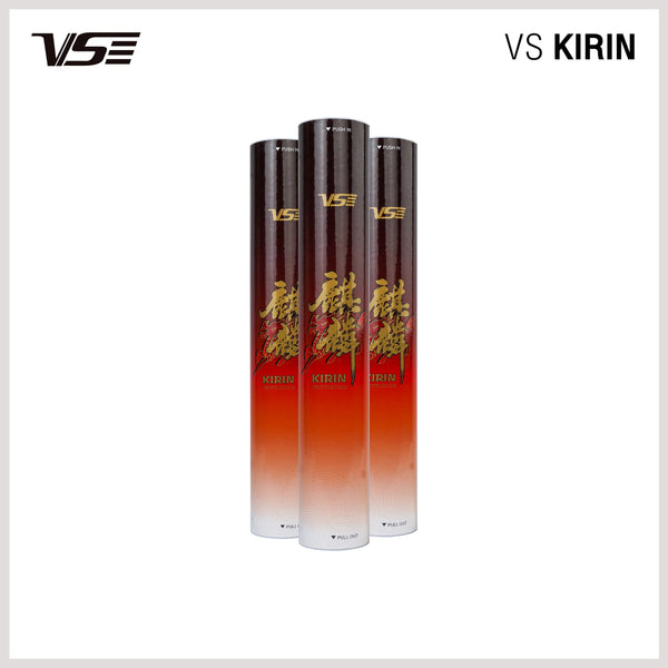 VS KIRIN - view 2