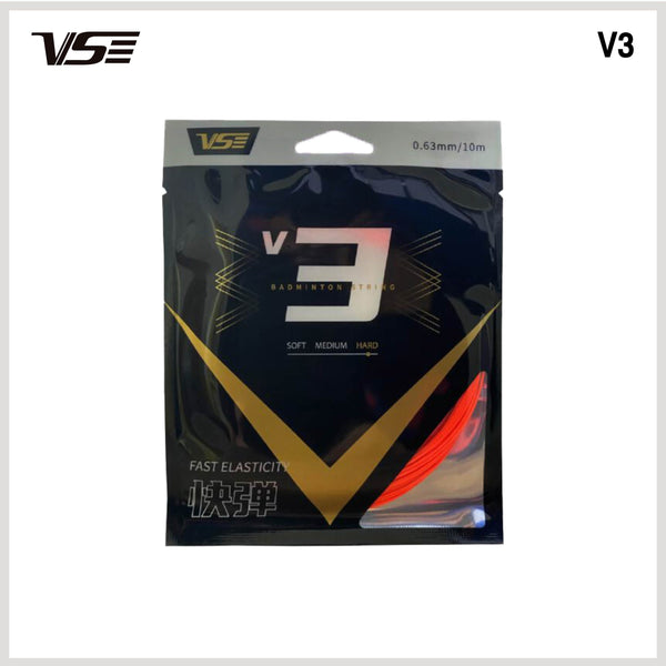 V3 - view 2