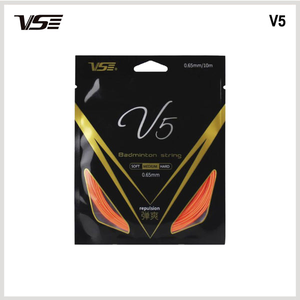 V5 - view 2