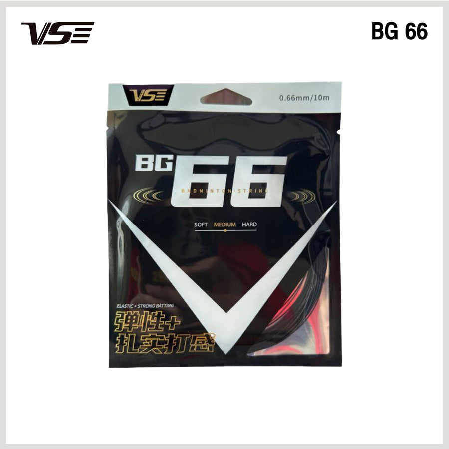 BG66