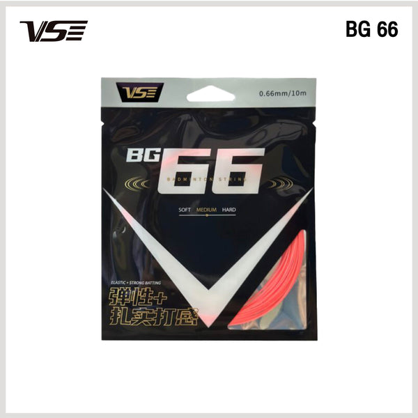 BG66 - view 2