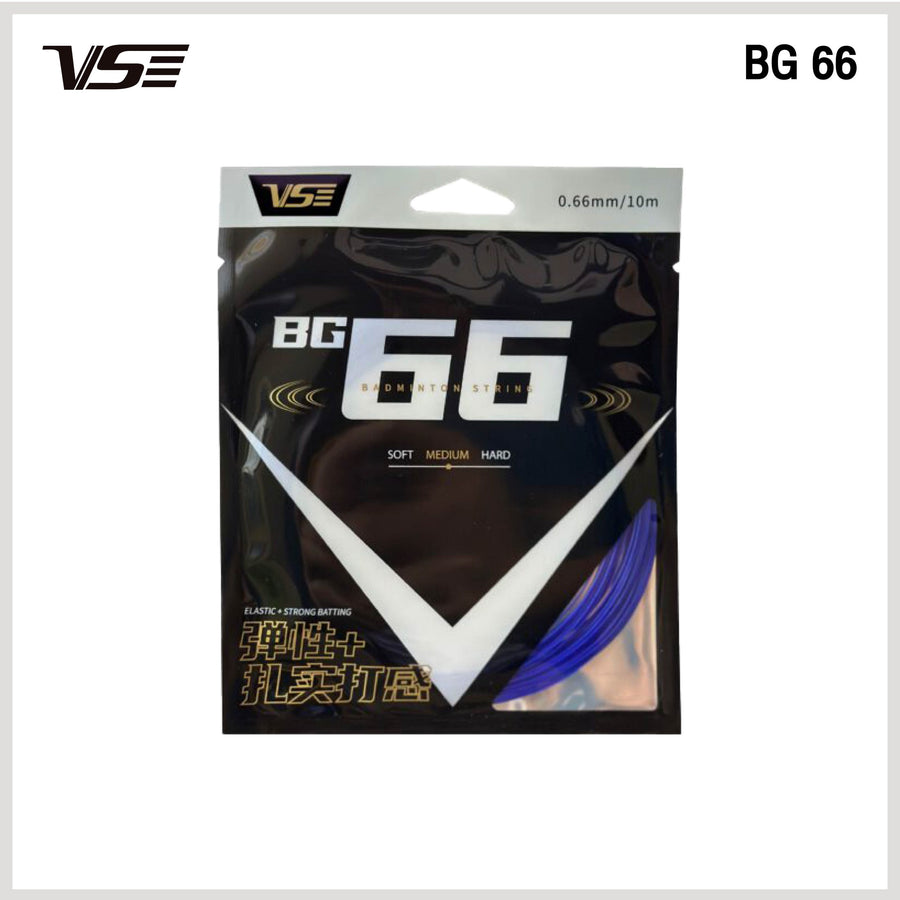 BG66