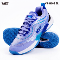 VS6100S