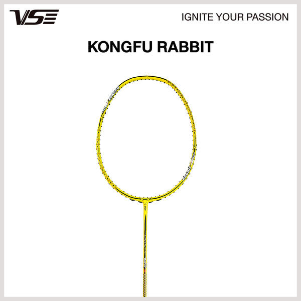 Kongfu Rabbit - view 2
