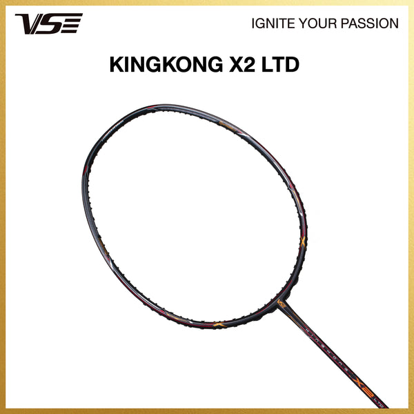 Kingkong X2 LTD - view 2