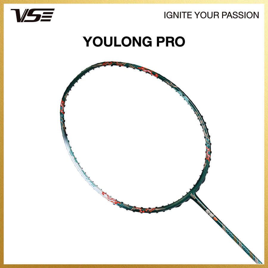 Youlong Pro
