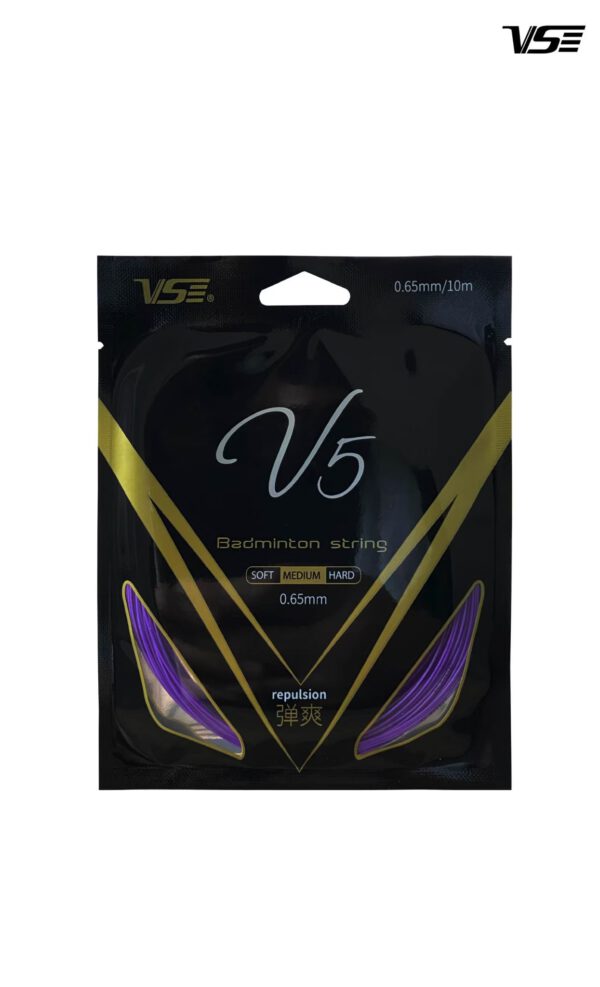 V5 - Image 5