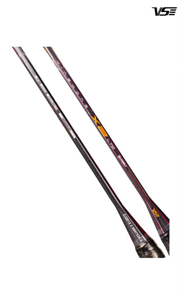 KingKong X2 Ltd - Image 6