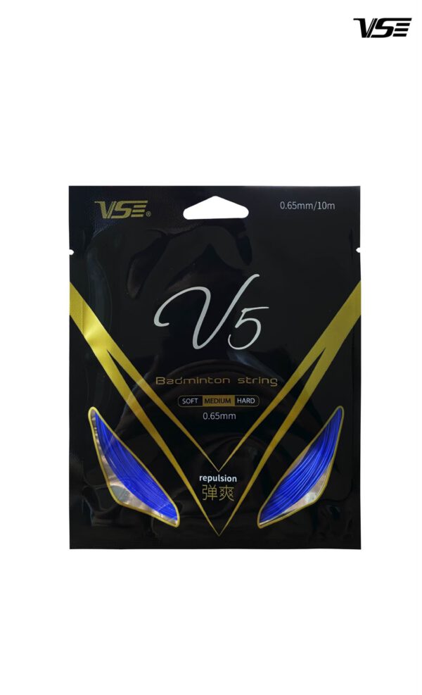 V5 - Image 2