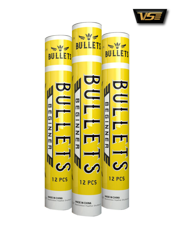 Bullets Beginer - Image 3