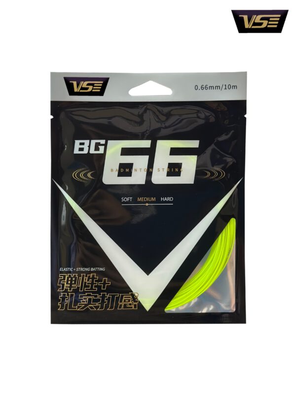 BG66 - Image 2