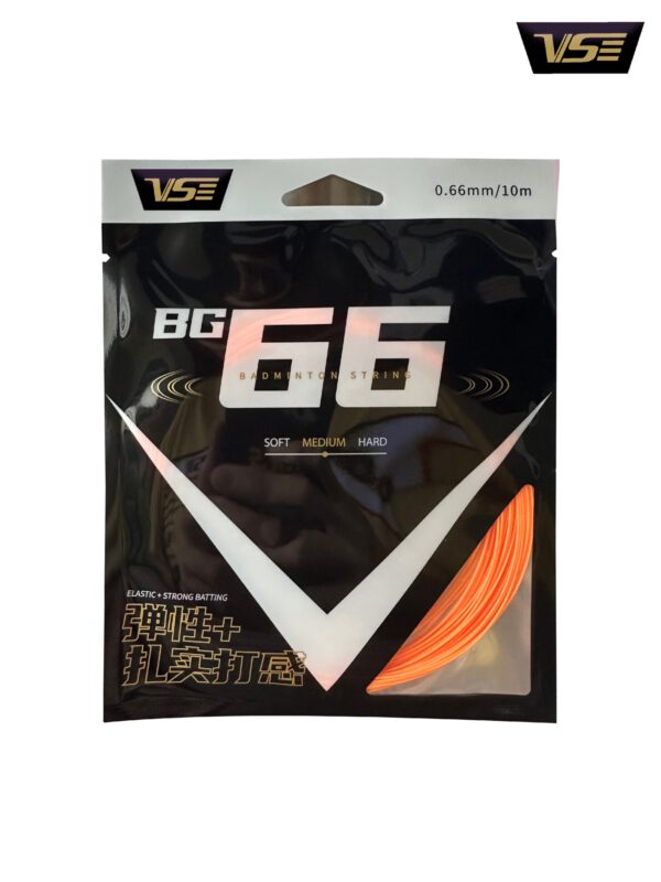 BG66 - Image 3