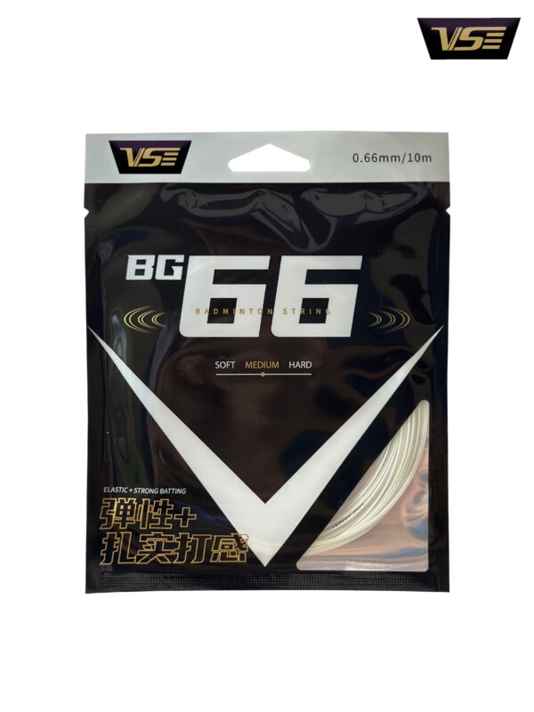BG66 - Image 4