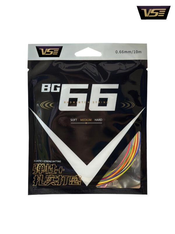 BG66 - Image 9