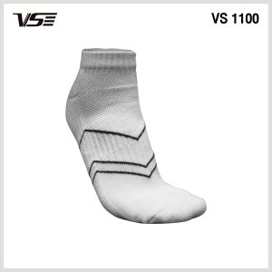 Alternative view of VS 1100