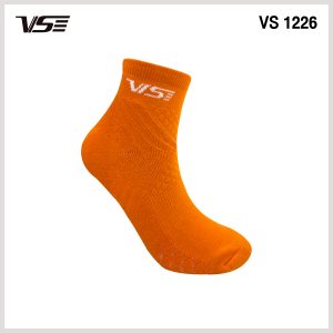 Alternative view of VS 1226