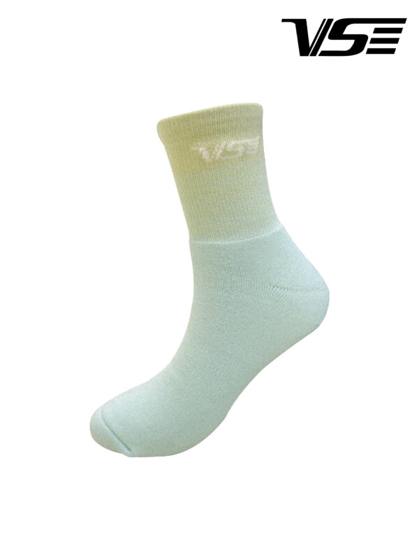 VS 1520G
