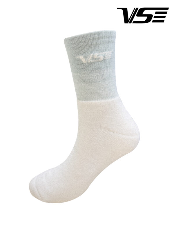 VS 1550B