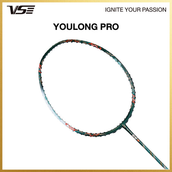 Youlong Pro