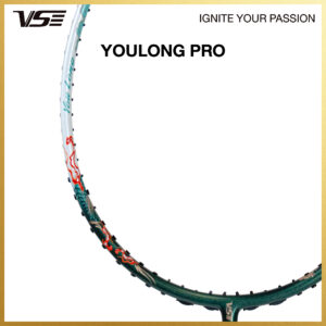 Alternative view of Youlong Pro