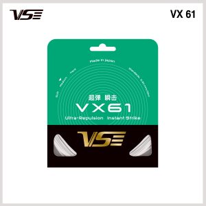 Alternative view of VX61